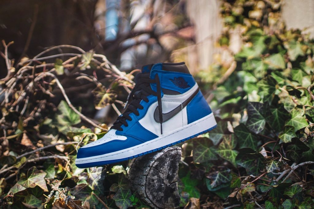 Air Jordan branco e azul em uma árvore