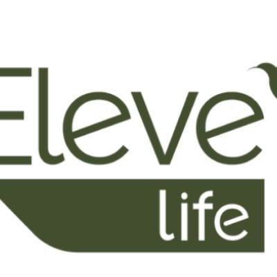 Logomarca Eleve Life