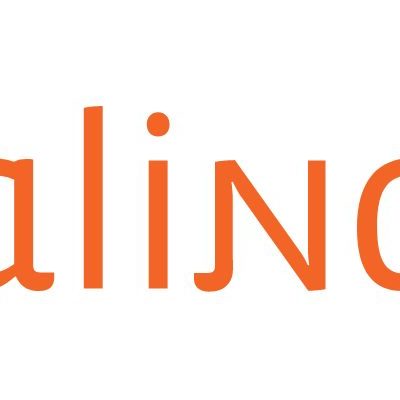 Logomarca Salinas