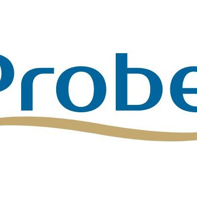 Logomarca Probel